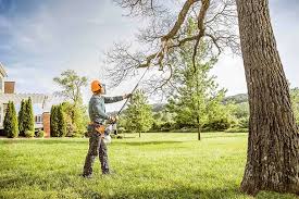 Seasonal Cleanup (Spring/Fall) in Harrison, TN